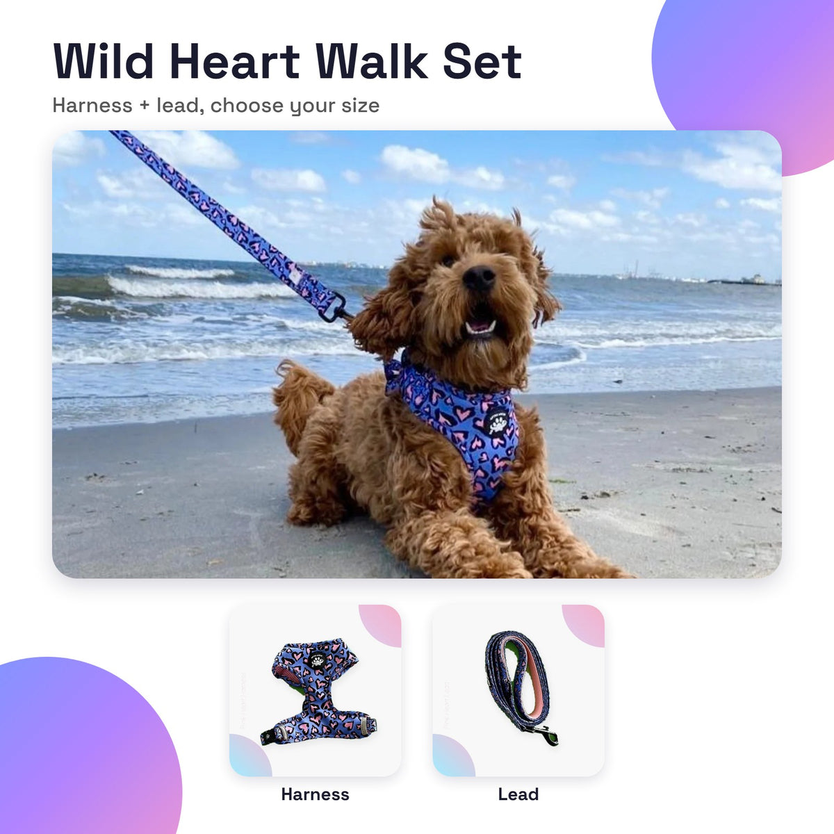 Wild Heart Walk Set (Harness + Lead)