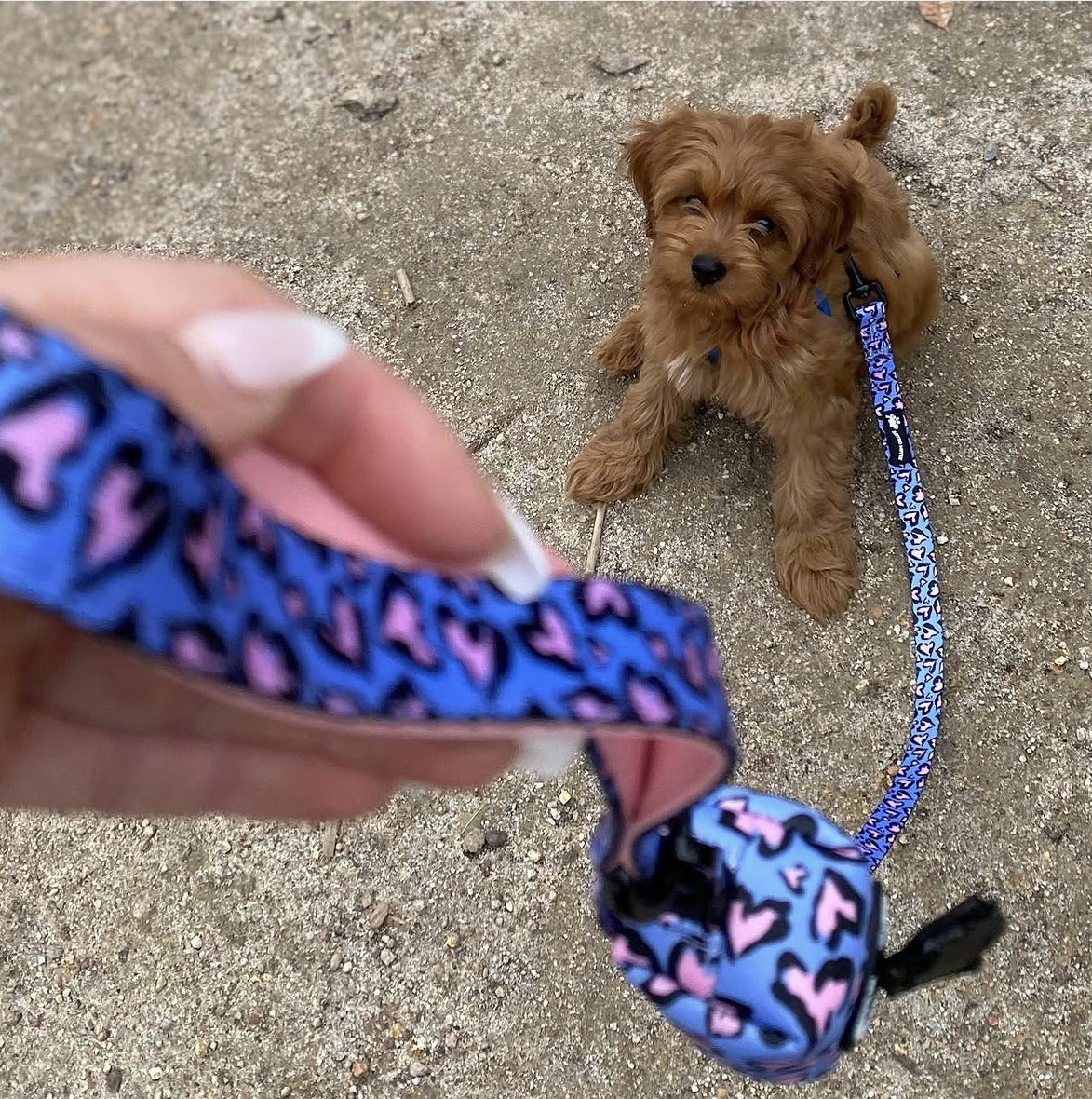 Wild Heart Poo Bag Holder