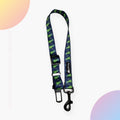 Space Dinosaur Seat Belt Attachment