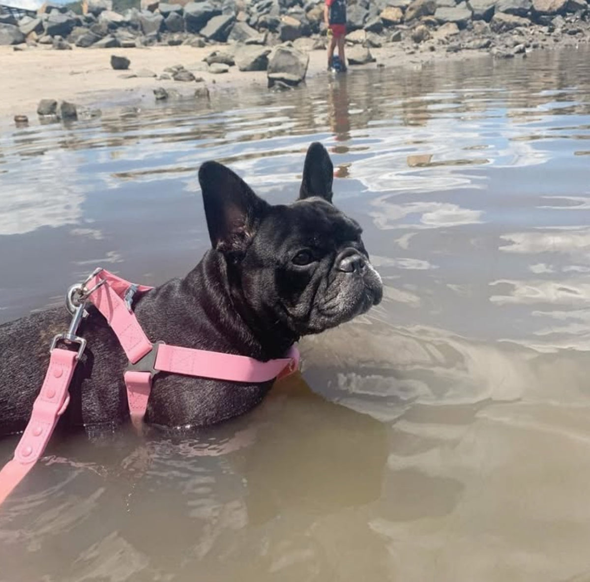 Splash Harness